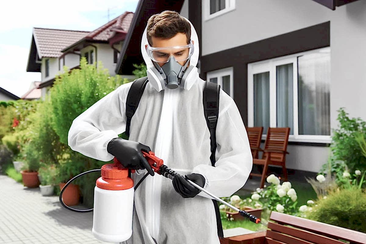 Etimesgut Böcek İlaçlama 